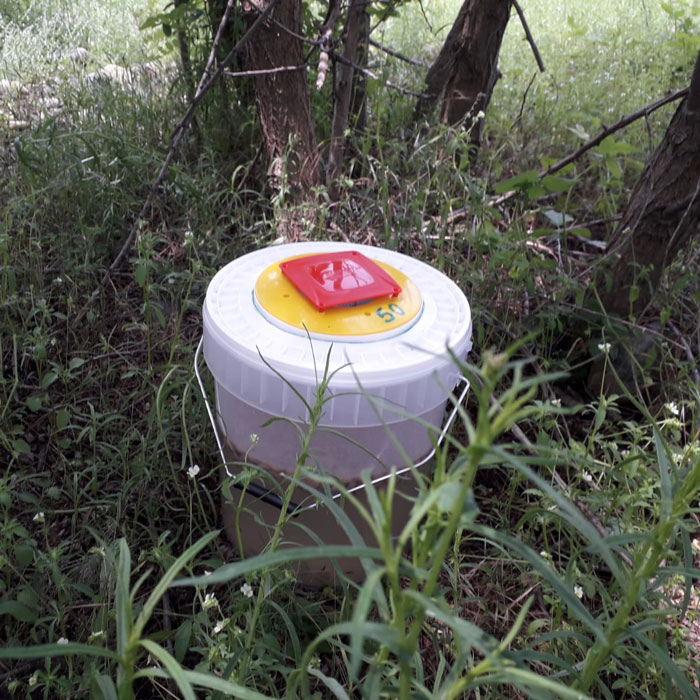 La gestione delle mosche negli impianti di trattamento RSU di A2A immagine decorativa