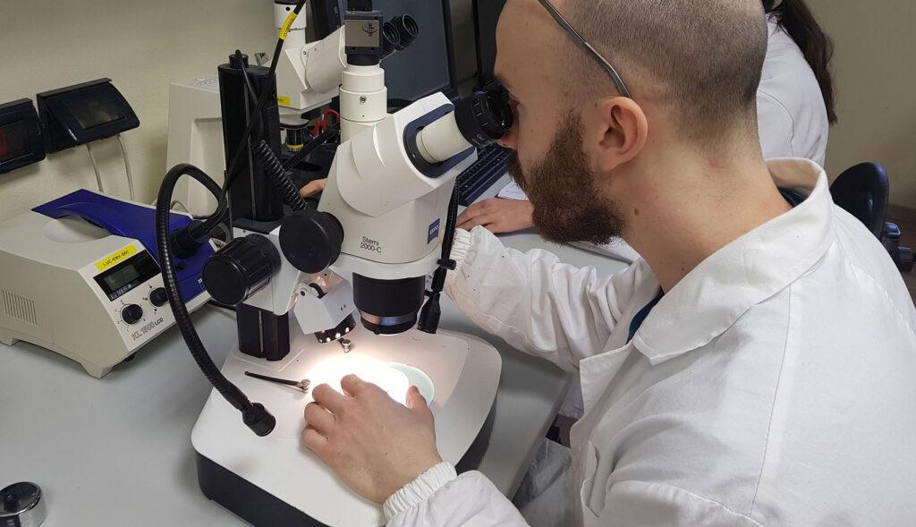 Research and laboratories area decorative image