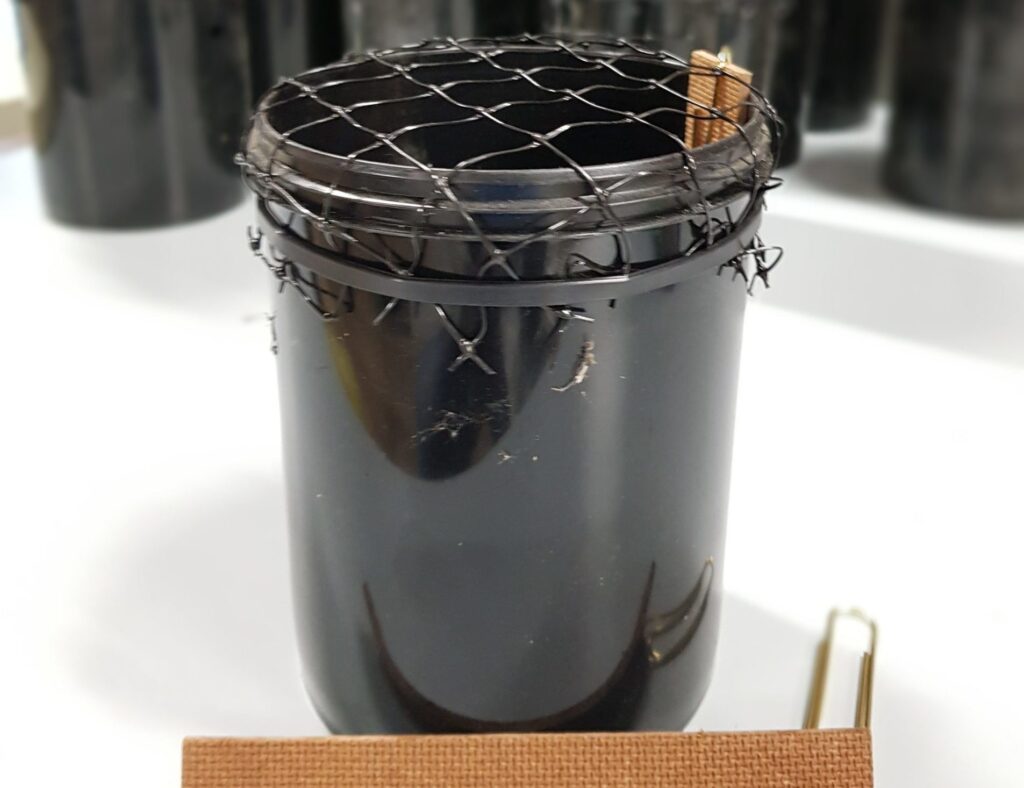 Ovitrappole modello CAA14GG per il monitoraggio della Zanzara Tigre immagine decorativa