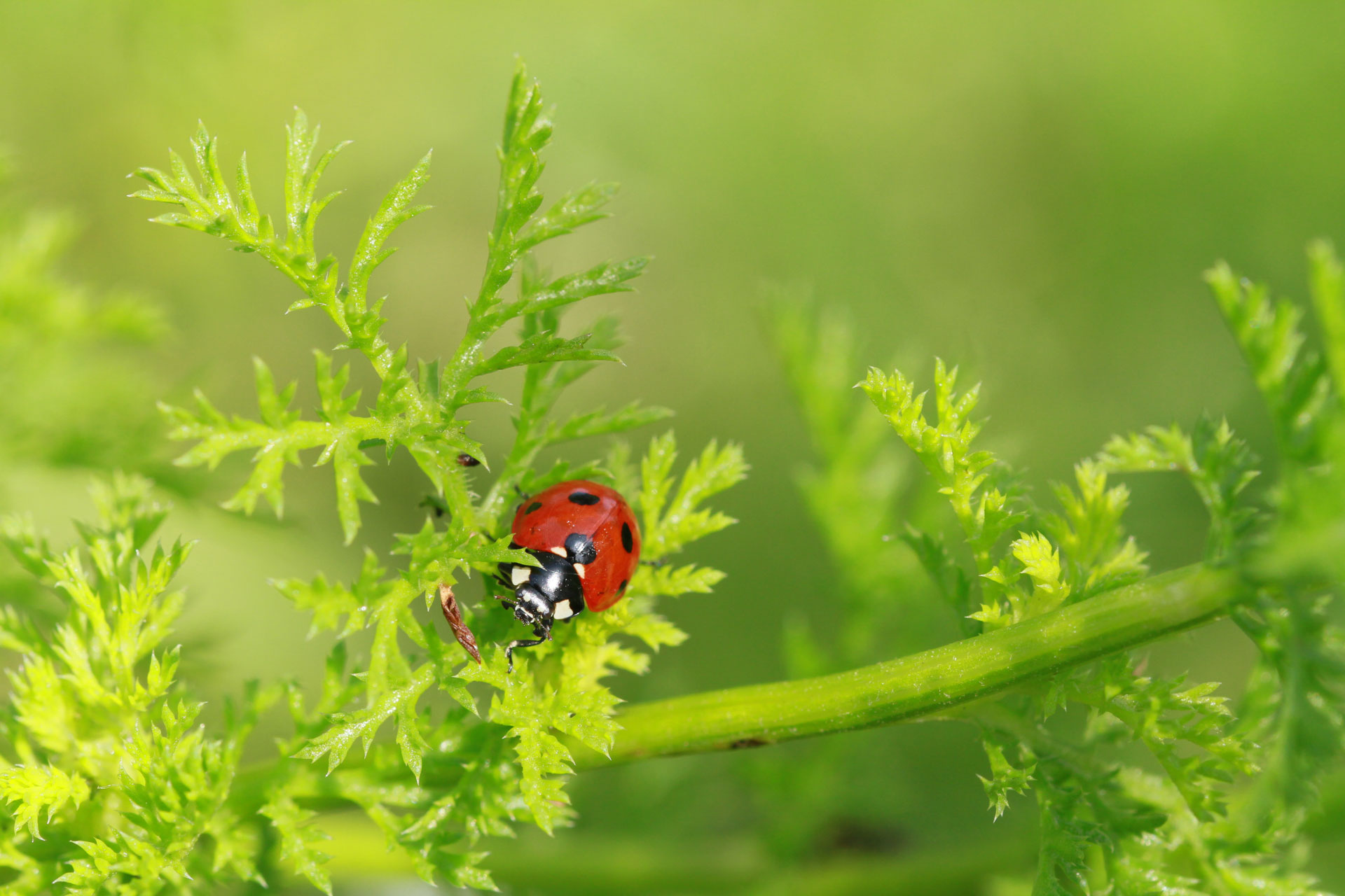 AdobeStock_152015416