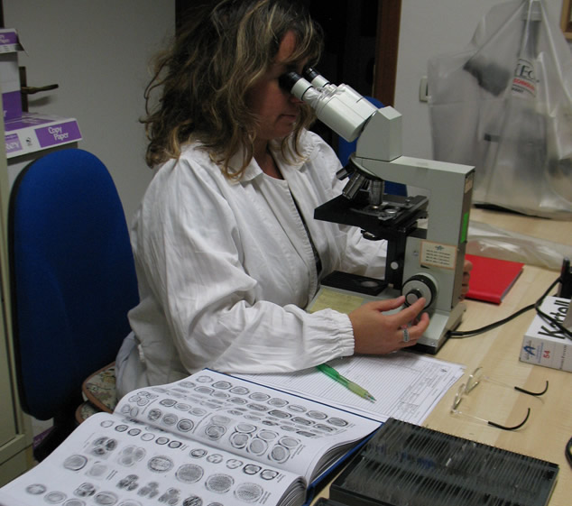 Il laboratorio di Palinologia del Centro Agricoltura Ambiente immagine decorativa