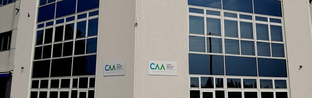 The organization decorative image