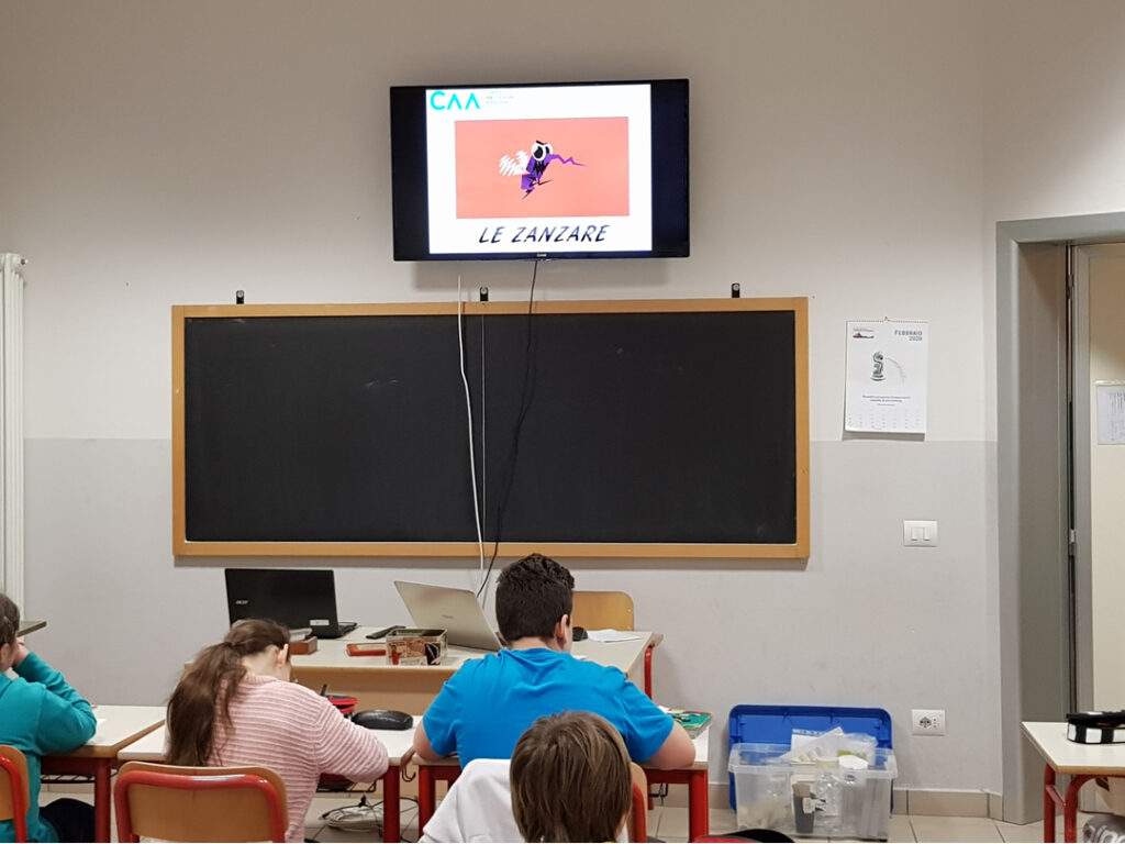 Progetto didattico “Contrasto alla Zanzara Tigre” nel Comune di Ferrara immagine decorativa