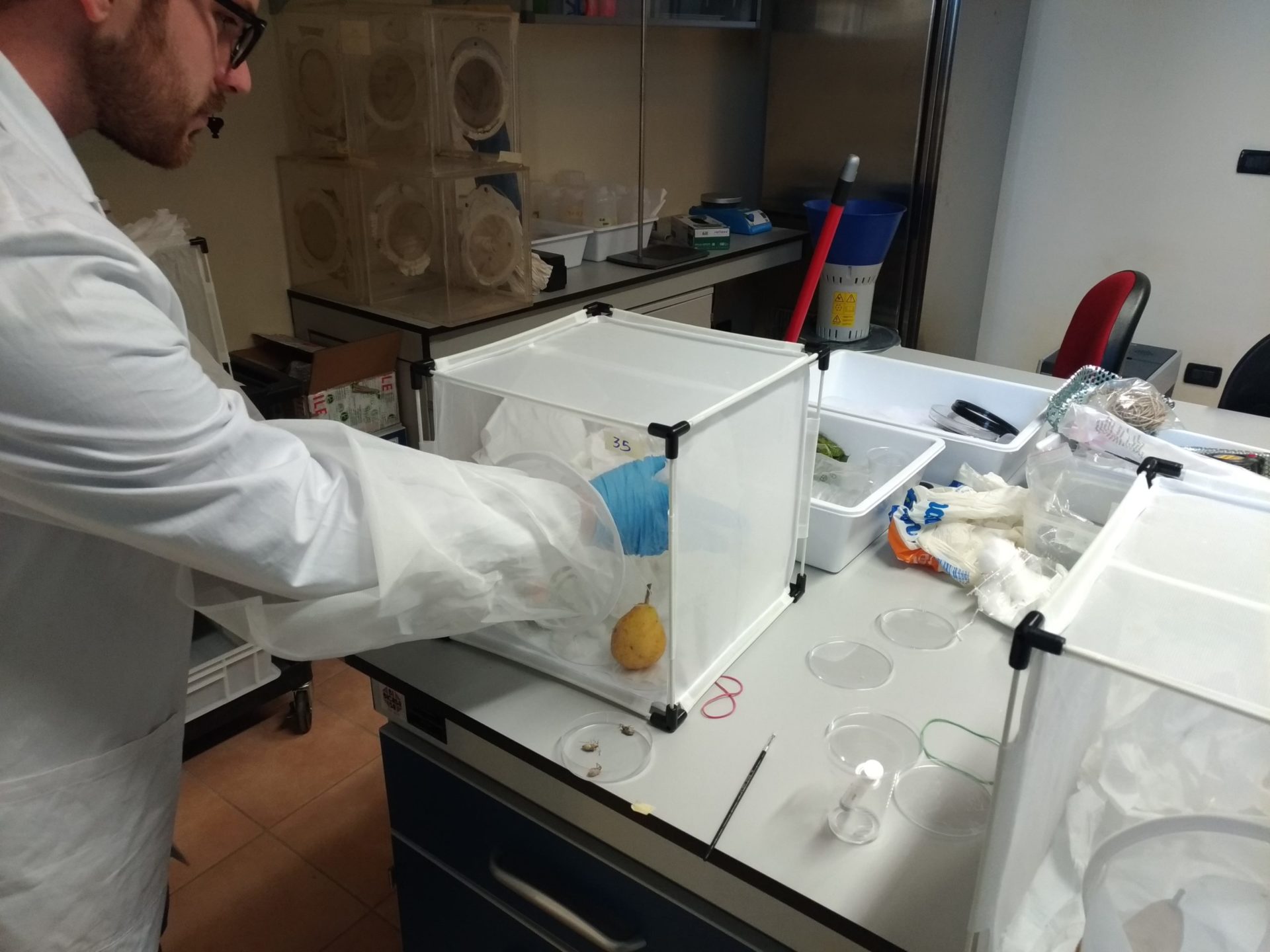 img-caa-news-cimini2