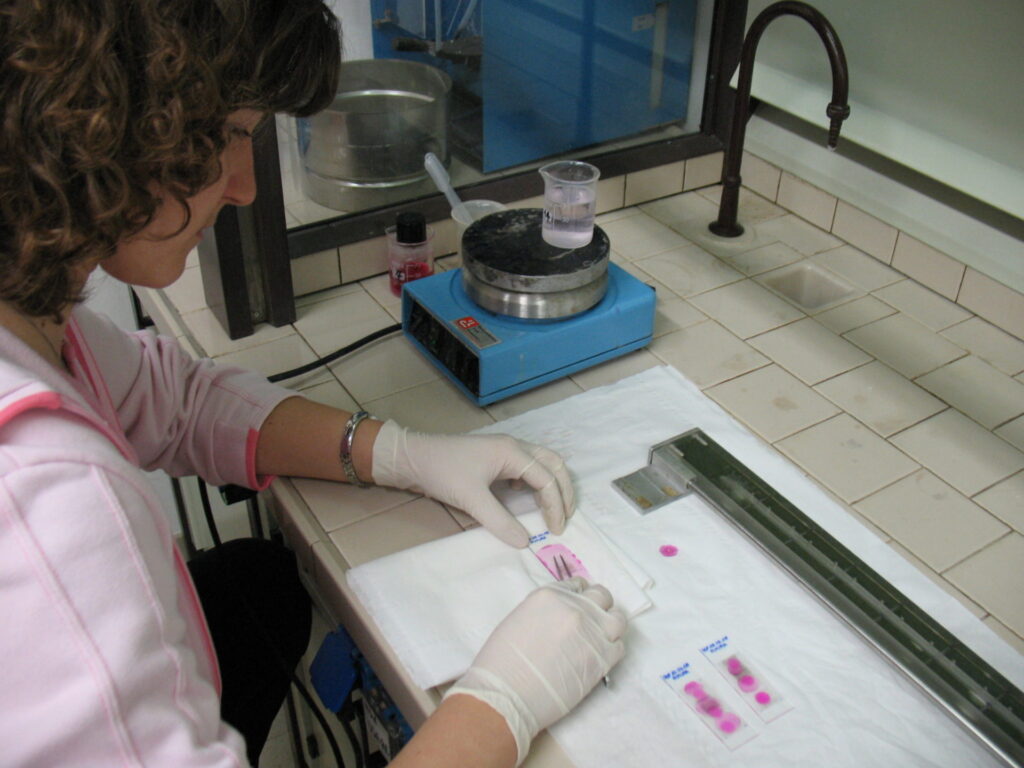 Allergie da pollini o sintomi da coronavirus? Come distinguerli… immagine decorativa