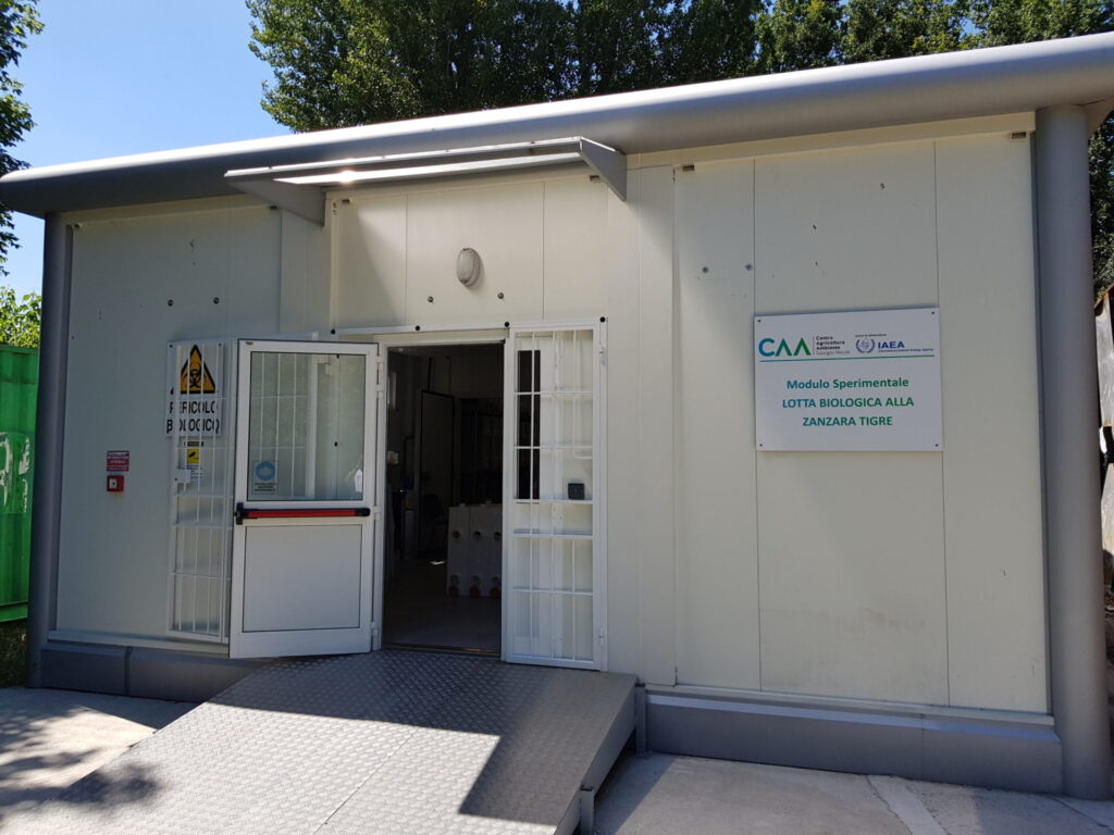 Operativo il modulo sperimentale per la produzione di maschi sterili di Zanzara Tigre immagine decorativa