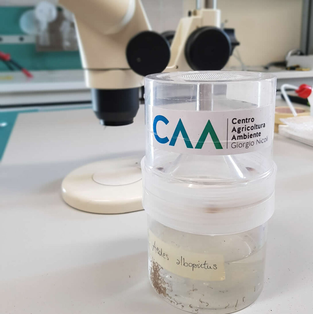 I giovanissimi del Centro Agricoltura Ambiente immagine decorativa