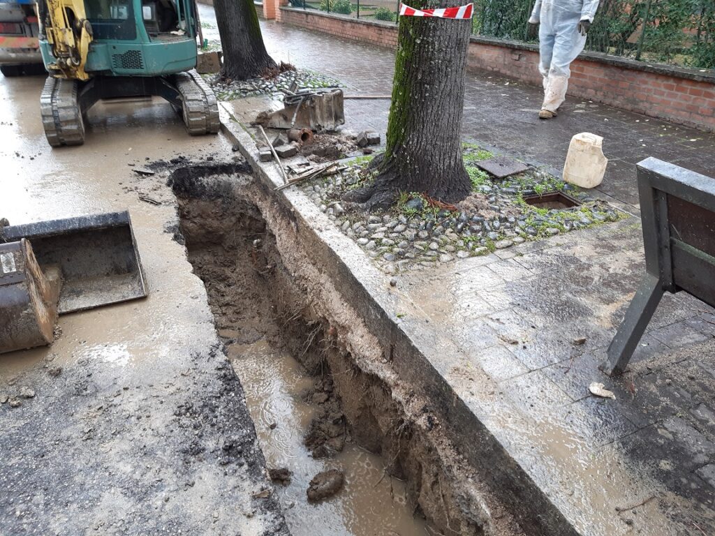 Servizi urbani e stabilità degli alberi immagine decorativa