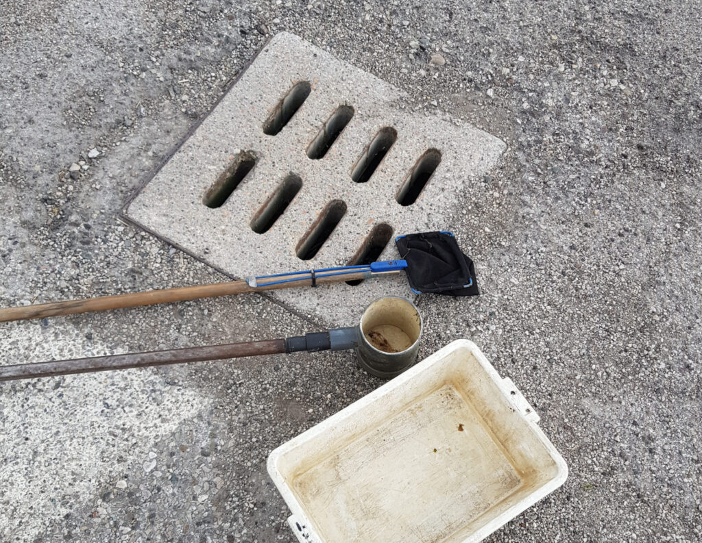 Controlli di qualità sui trattamenti larvicidi nella tombinatura stradale pubblica immagine decorativa