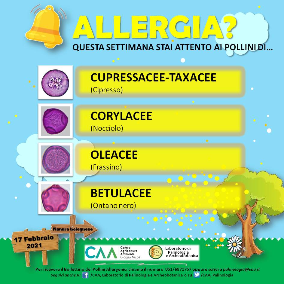 ETCIU’!! Riprende il servizio di spedizione del Bollettino dei Pollini Allergenici immagine decorativa