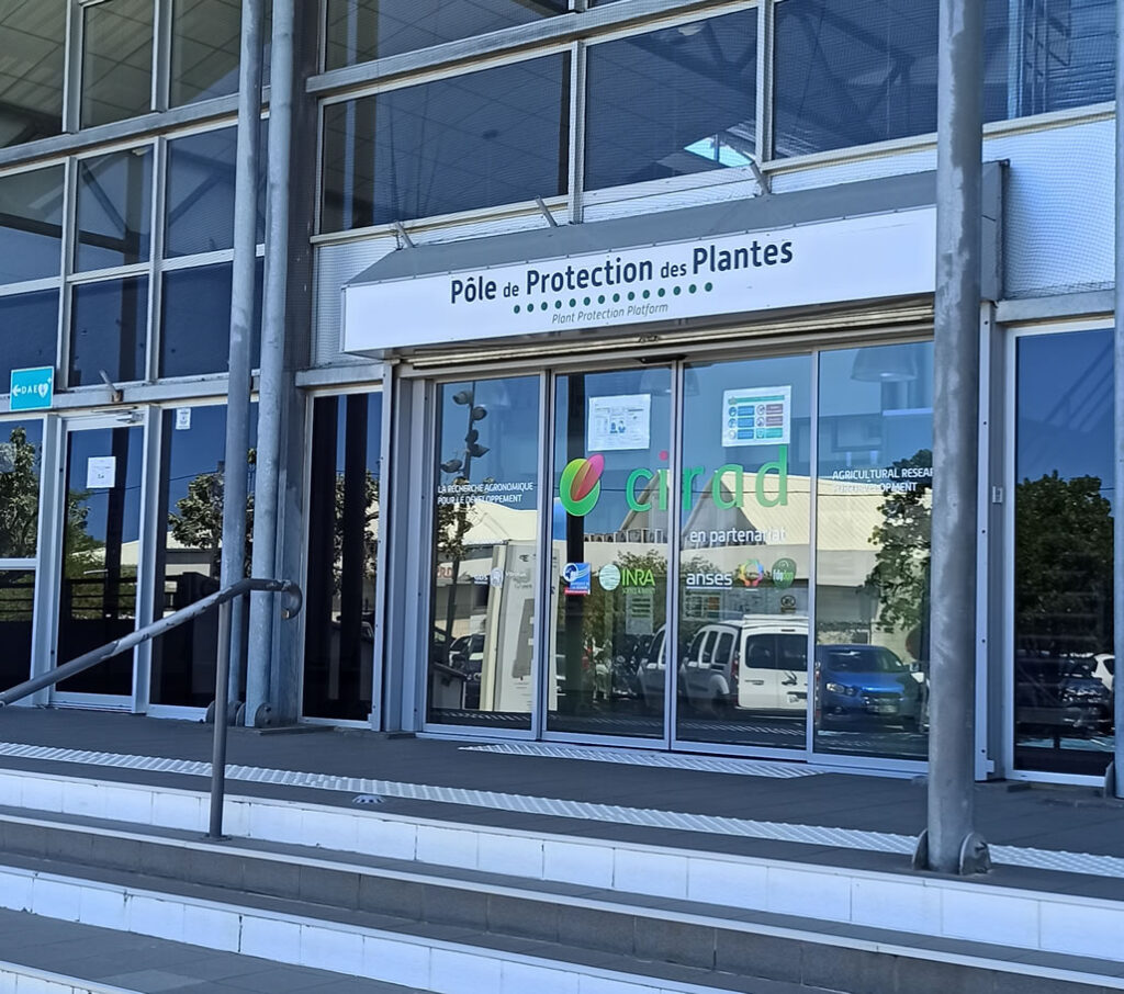 Esperienze all’estero di ricercatori CAA immagine decorativa