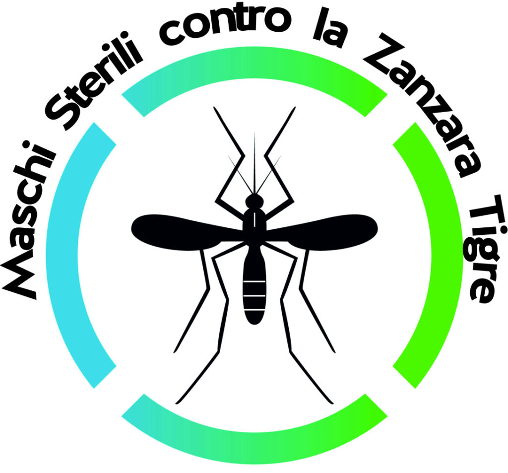 Risultati progetto PaP-SIT a Bologna nel 2025 immagine decorativa