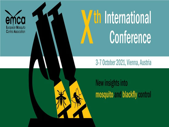 CAA “G.Nicoli” alla decima conferenza internazionale EMCA 2021 immagine decorativa