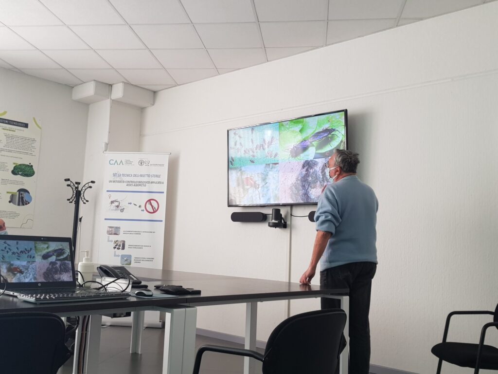 Aggiornamento su Entomologia Sanitaria e insetti del Verde Ornamentale ai tecnici IREN Ambiente Spa immagine decorativa