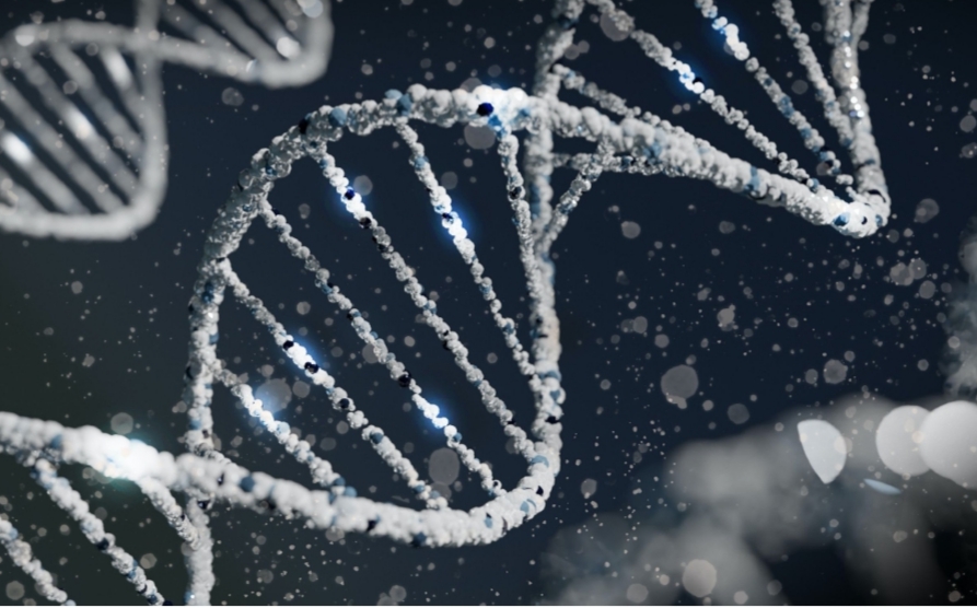 Zanzara comune e Diflubenzuron: cosa rivela il DNA? immagine decorativa