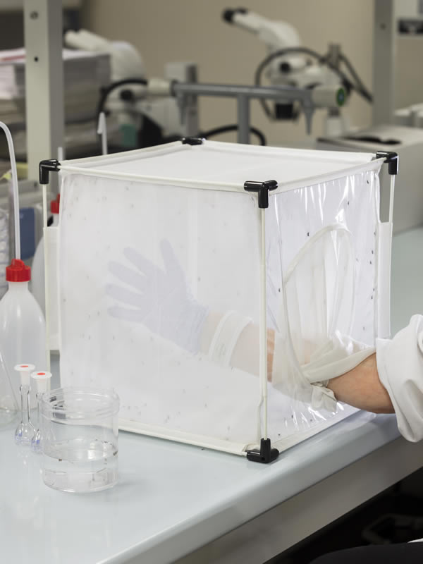 caa-biosaggi-12-600x800