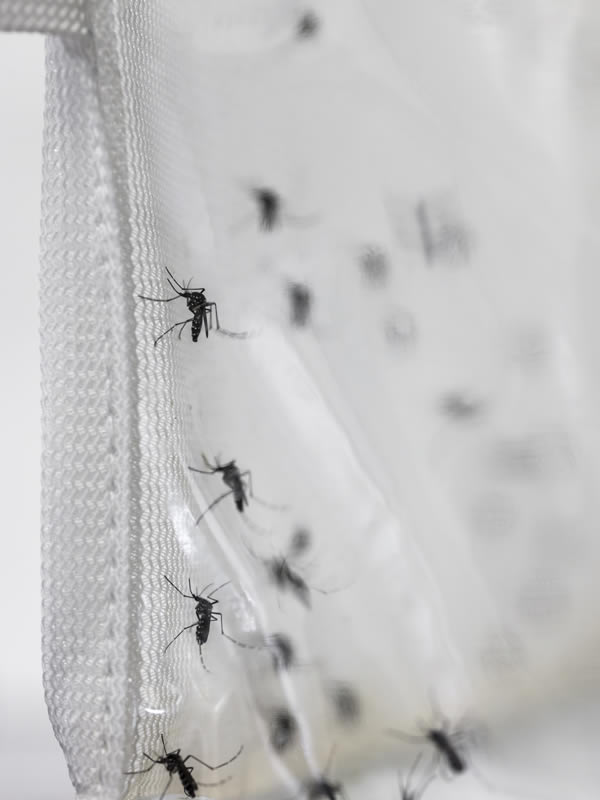 laboratorio-11-caa-600x800