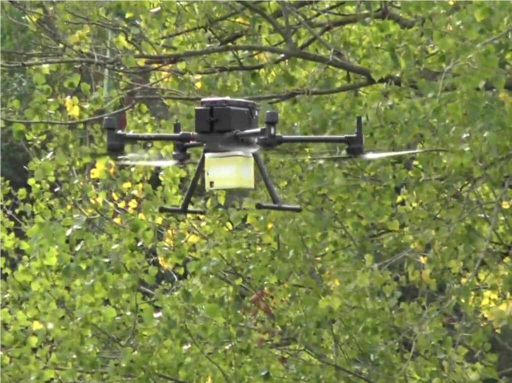 Distribuzione aerea di maschi sterili in programmi di lotta alle zanzare immagine decorativa