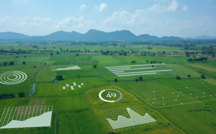Innovazione e agricoltura: il ruolo chiave del Centro Agricoltura Ambiente immagine decorativa