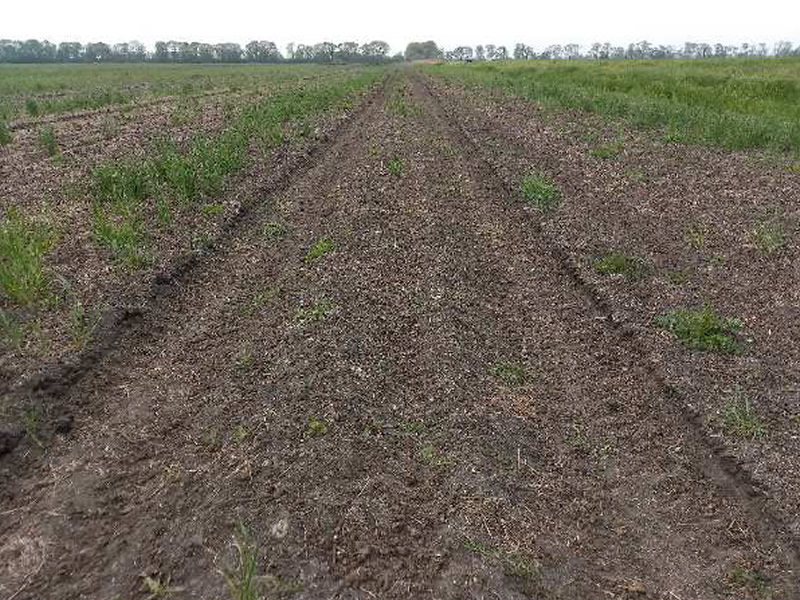 Prove di valutazione del calpestamento del terreno nella fertilizzazione organica primaverile immagine decorativa