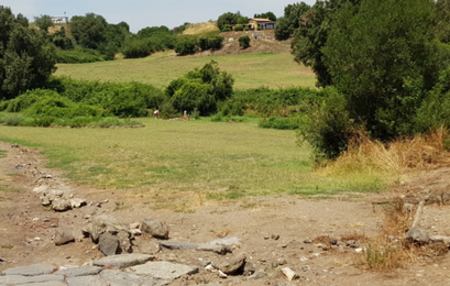 Parchi archeologici: la storia di Vulci e il contributo del Centro Agricoltura Ambiente immagine decorativa