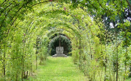 Giardini storici: la ricostruzione del giardino di Palazzo Ludovico il Moro a Ferrara immagine decorativa