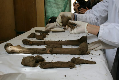 Scienze forensi: il ruolo del CAA nel Master dell’Università di Ferrara immagine decorativa