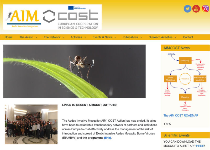 AIM Cost decorative image