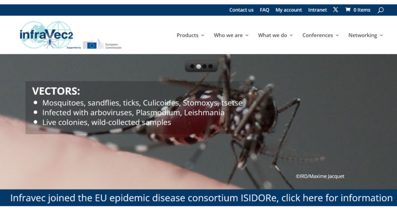 Infravec2 decorative image