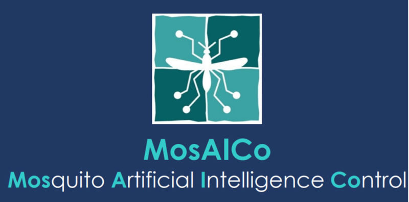 L’uso dell’Intelligenza Artificiale in entomologia medica: il progetto MosAICo immagine decorativa