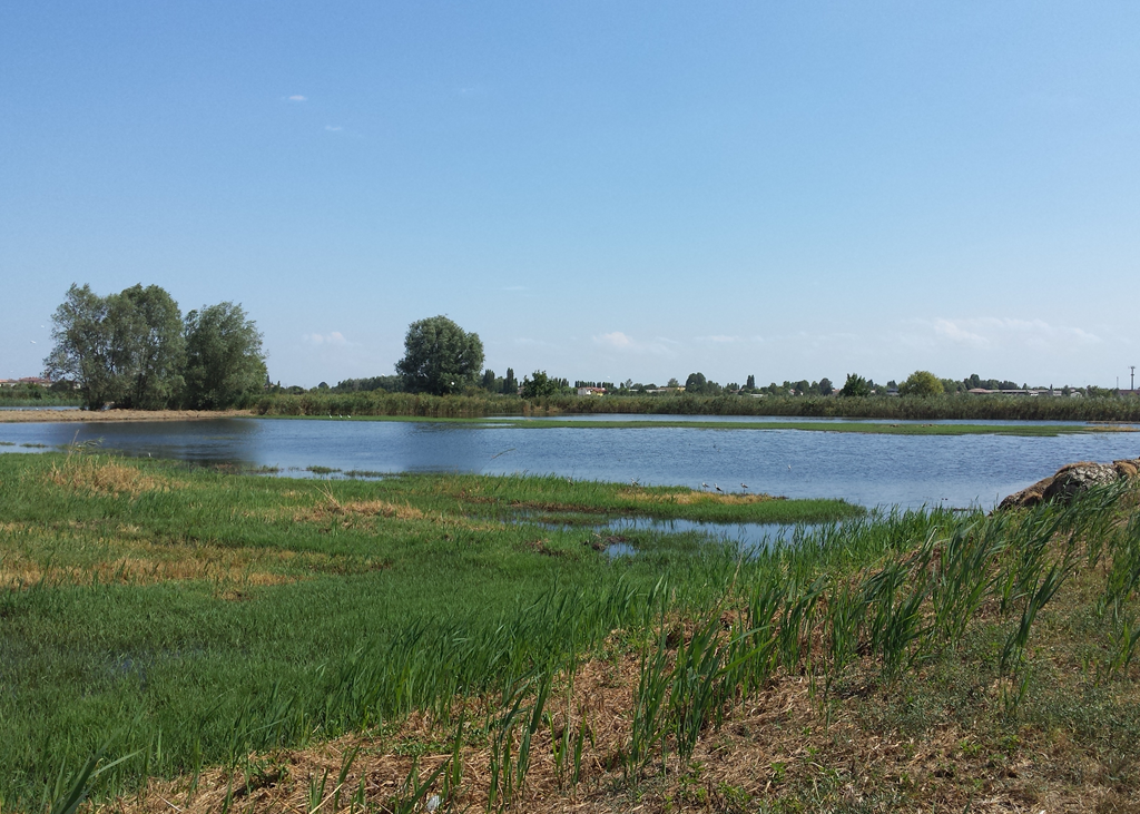 mappaggio-1-caa-1024x731